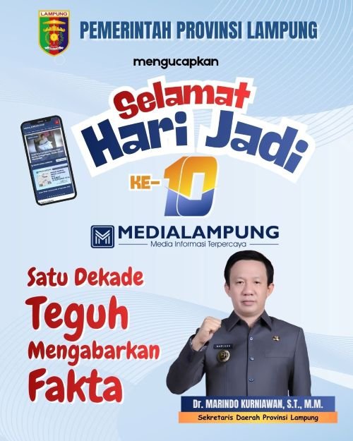 HUT MLO - 4