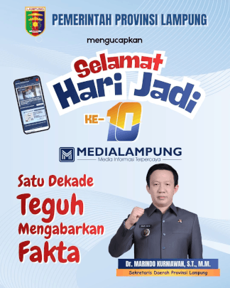 HUT MLO - 4