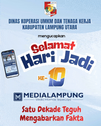 HUT MLO - 6