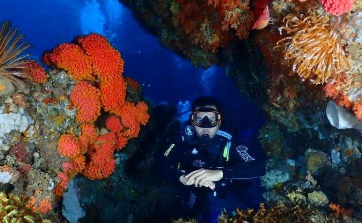 Goa Hukurila Ambon, Surga Menyelam di Labirin Bawah Laut Indonesia Timur