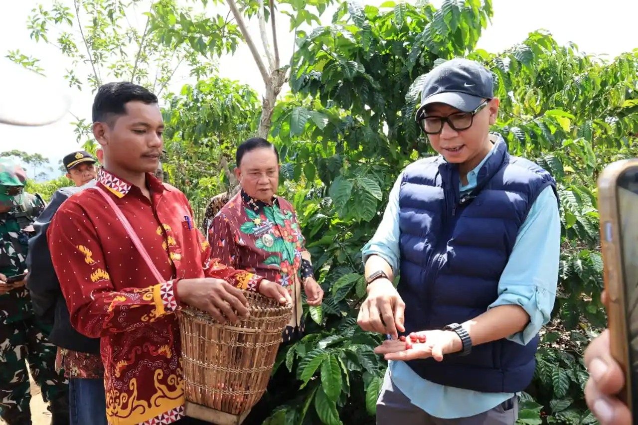 Gubernur Lampung Kenalkan PHC di Kebun Induk Hanakau, Produktivitas Kopi Ditarget Melonjak