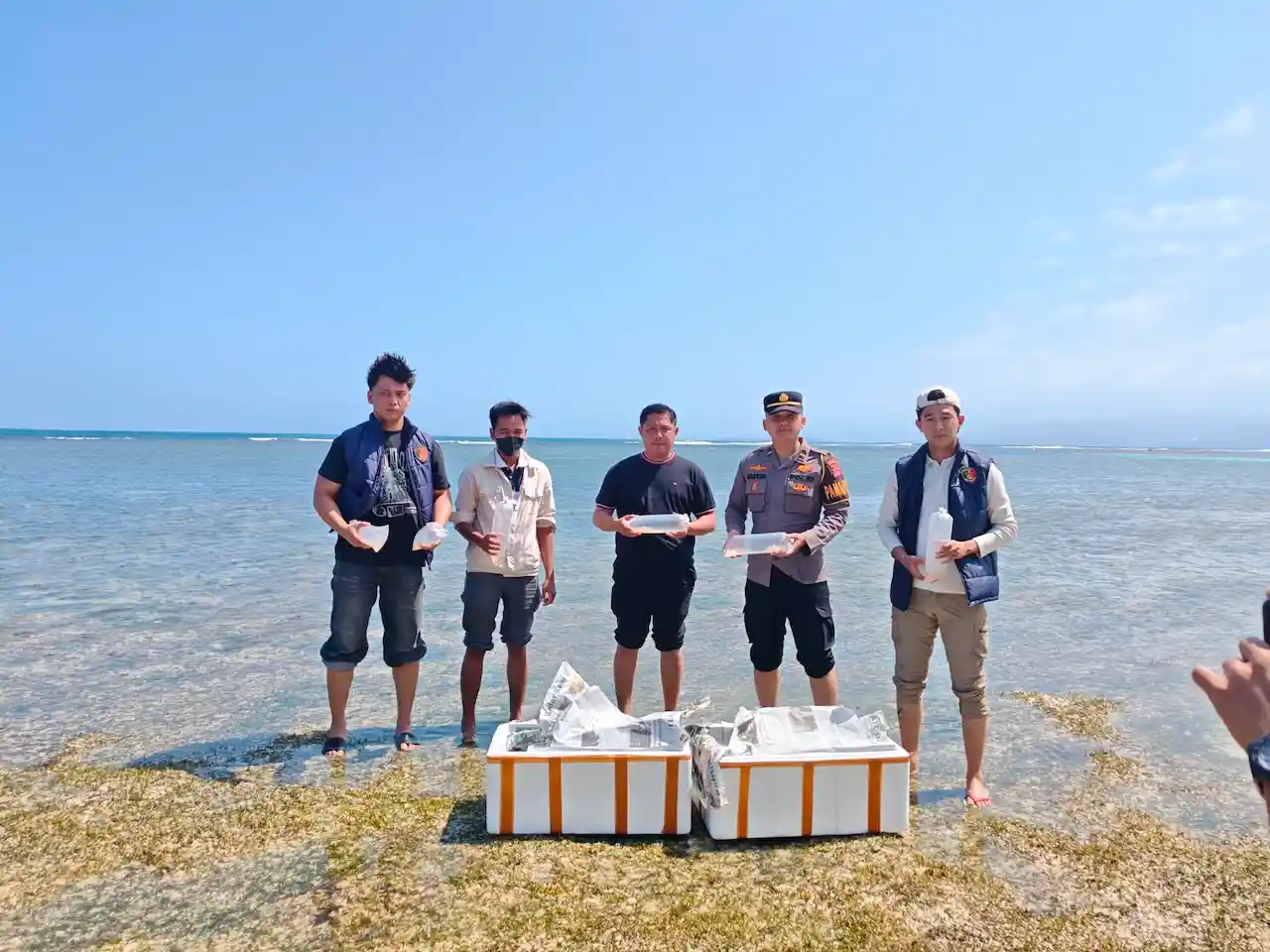 Polisi Gagalkan Penyelundupan 10 Ribu Benih Lobster di Pesisir Barat, Nilainya Capai Rp1,4 Miliar