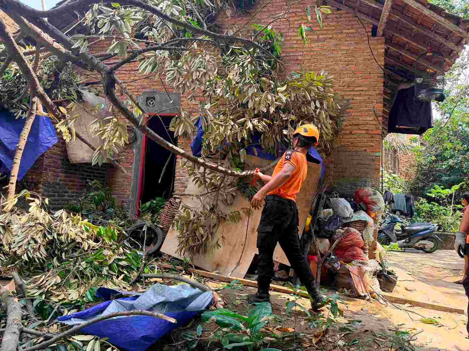 Angin Kencang Sebabkan Pohon Durian Tumbang Timpa Dapur Warga di Bandar Lampung