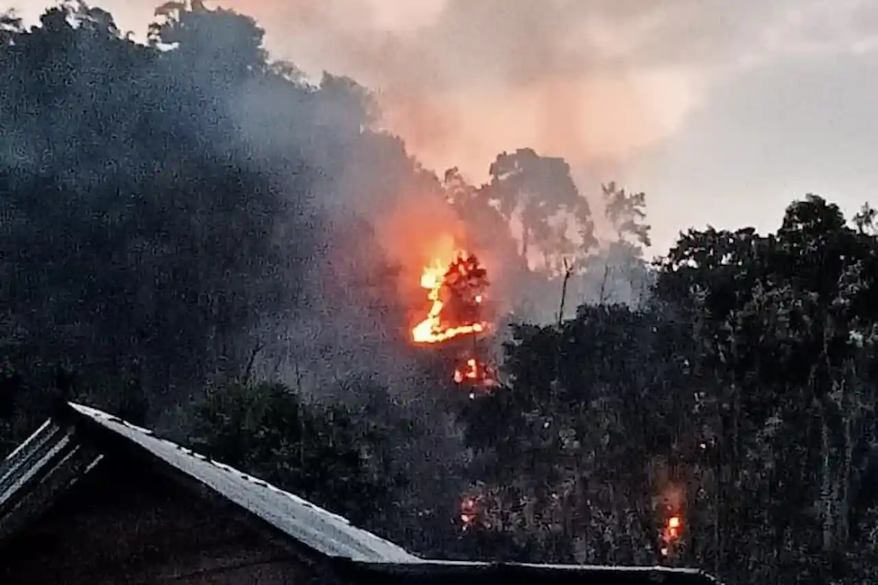 Hutan Lindung Dekat Permukiman di Sukabanjar Terbakar, Api Berangsur Padam