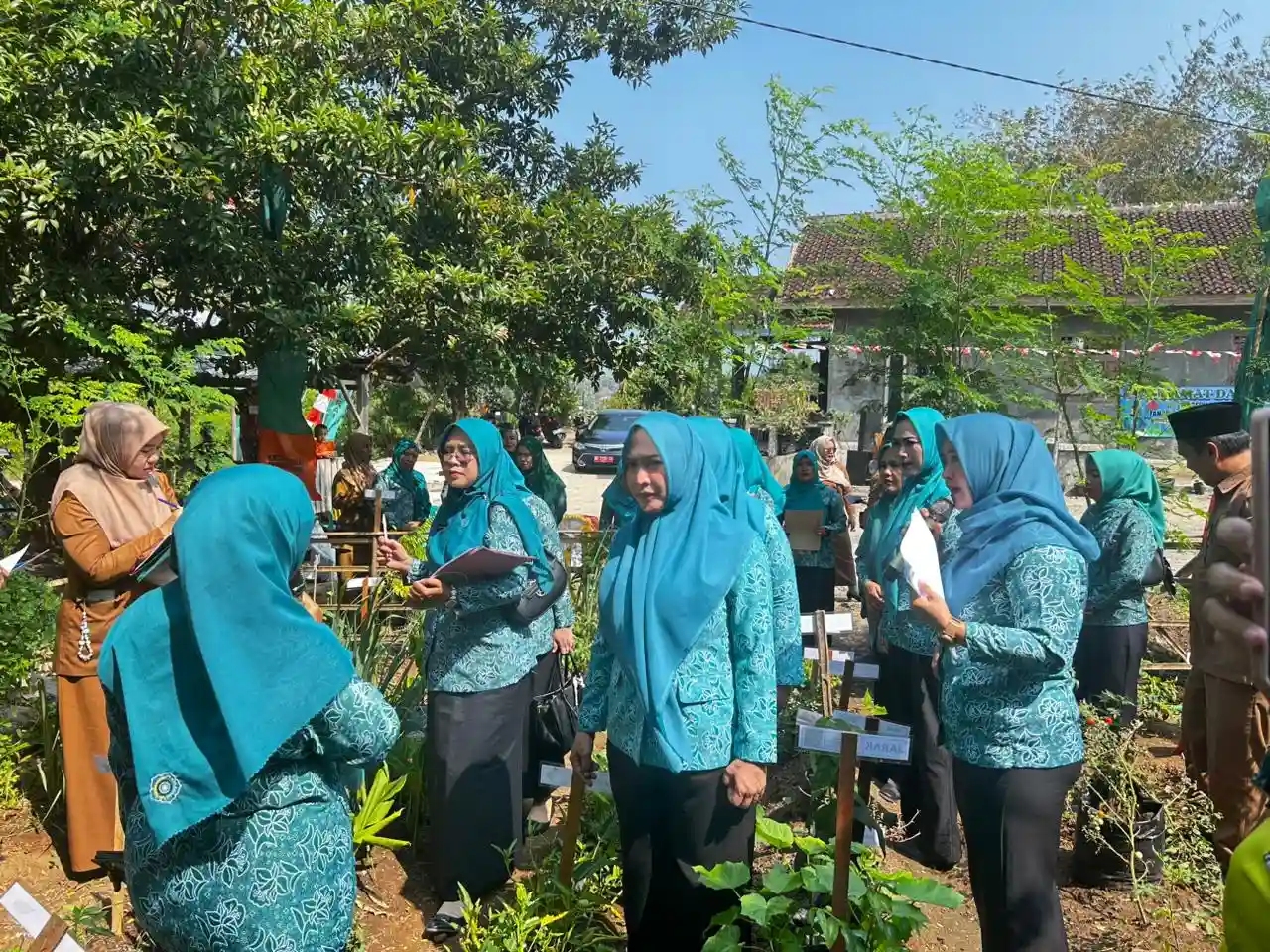 Pekon Seray wakili kecamatan pesisir tengah pada lomba bunga telang dan TOGA.