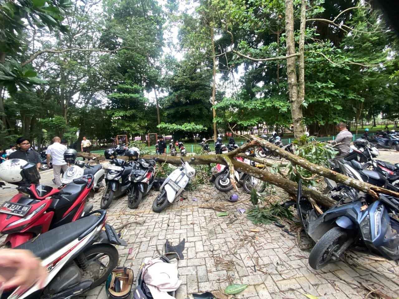 Kendaraan Mahasiswa Rusak Tertimpa Pohon, Unila Ambil Tanggung Jawab Untuk Perbaiki