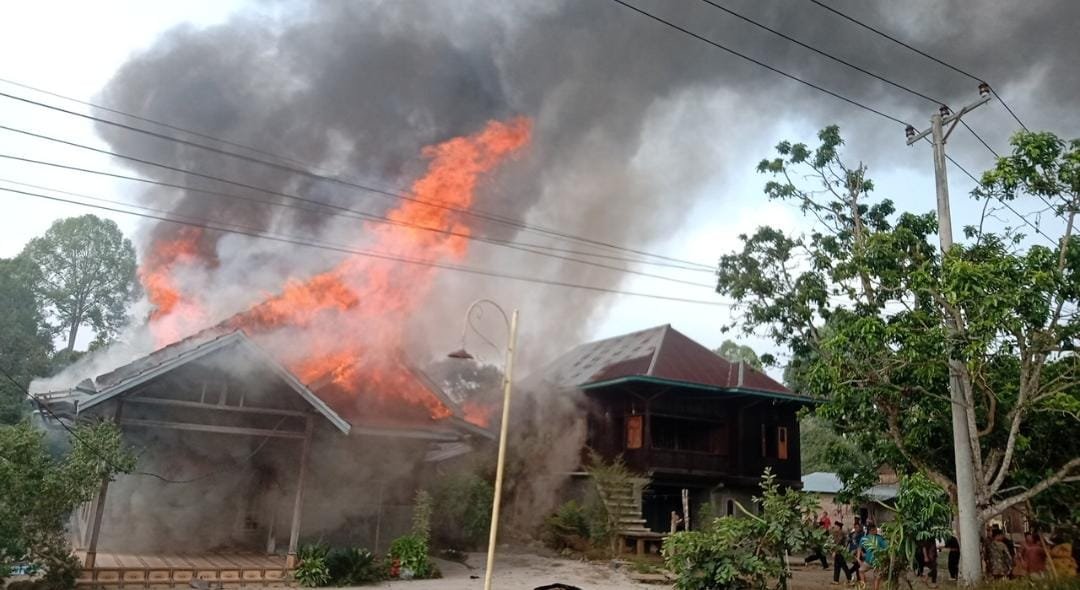 Breaking News! Kebakaran di Pekon Balak Lampung Barat, Satu Rumah Ludes Dilalap Api