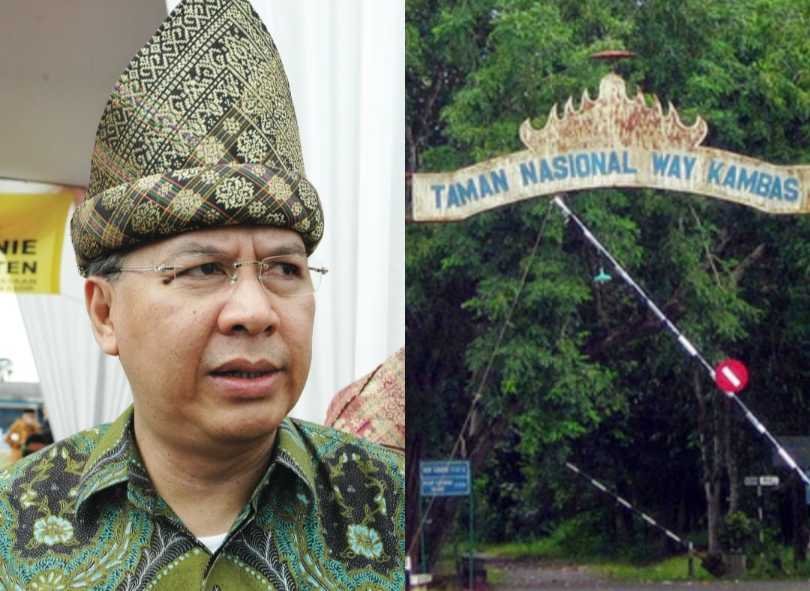 Alzier Desak Evaluasi Total Usai Kematian Gajah Indra, Soroti Dugaan Kelalaian di Way Kambas