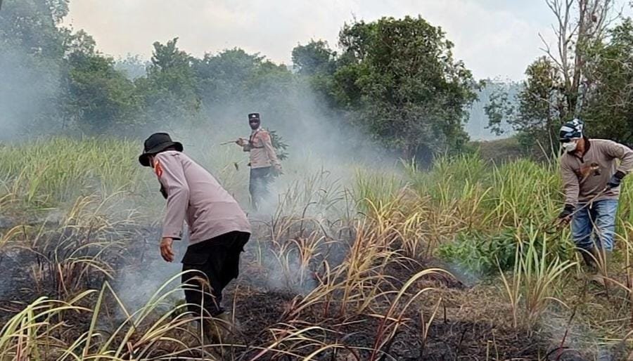 Karhutla Kembali Melanda Way Kambas, Api Diperkirakan Membakar 673,4 Hektare