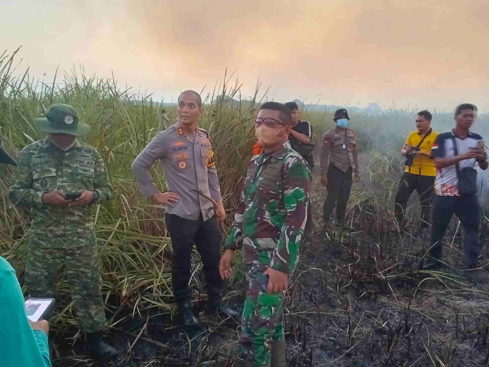Api Padam, Petugas Masih Lakukan Pembasahan dan Patroli di Way Kambas