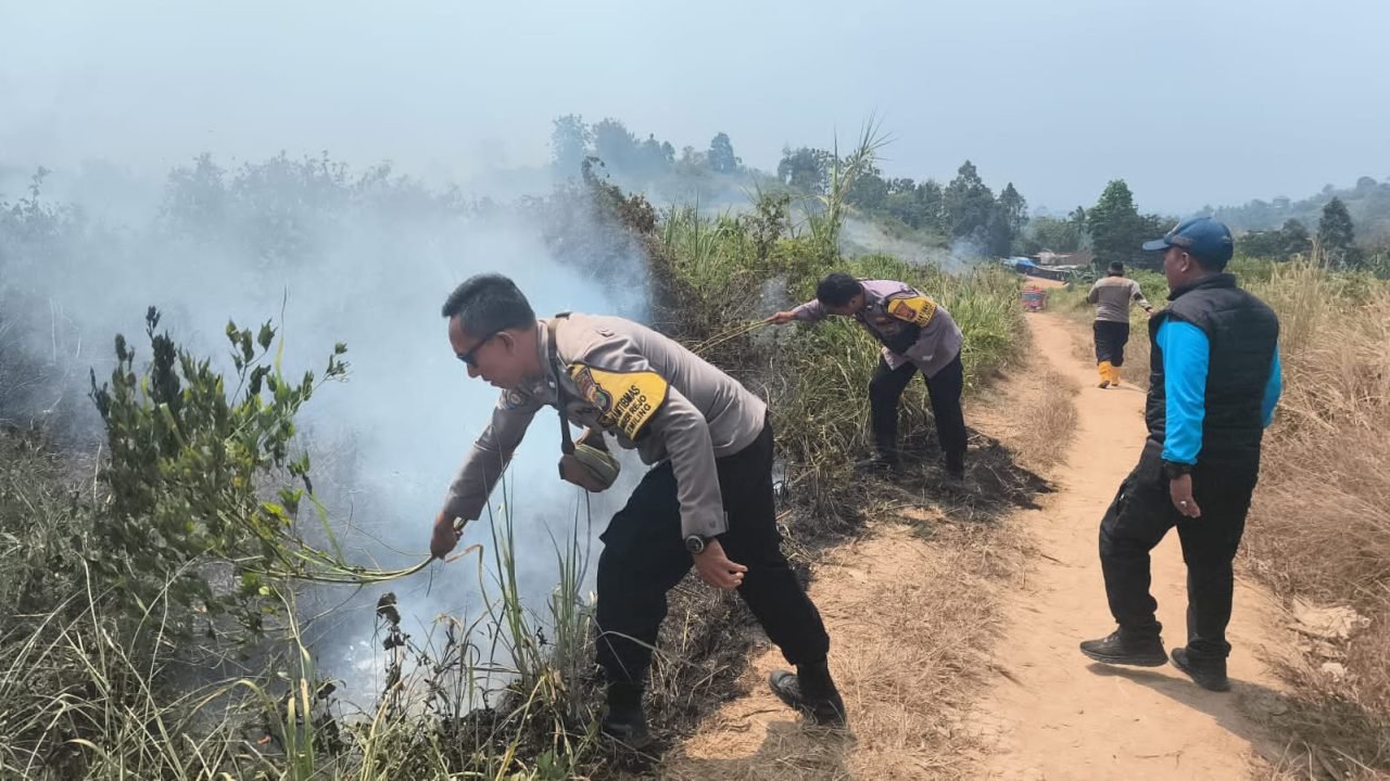 Lahan Kosong di Kemiling Terbakar, Sekitar 1.000 Meter Persegi Hangus