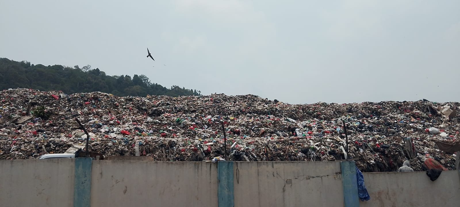 PSEL LAMPUNG : Pusaran Janji di Tempat Baru, Purwotani Awas Tertipu
