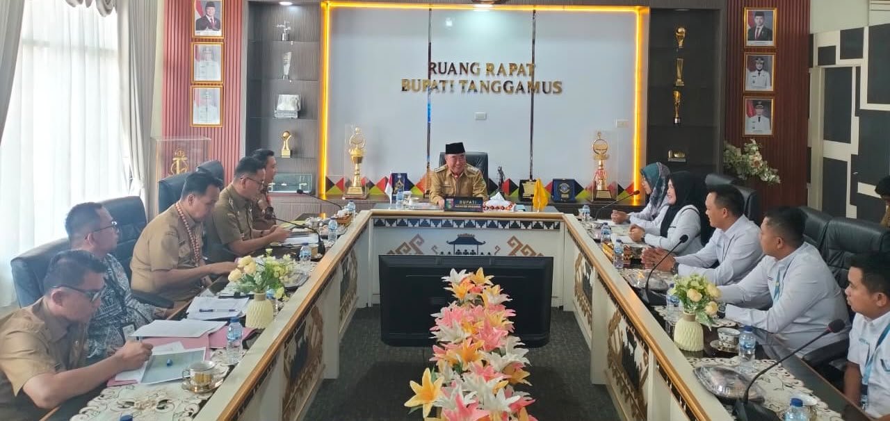 PLN UP3 Pringsewu dan Pemkab Tanggamus Perkuat Sinergi Optimalisasi PBJT Listrik