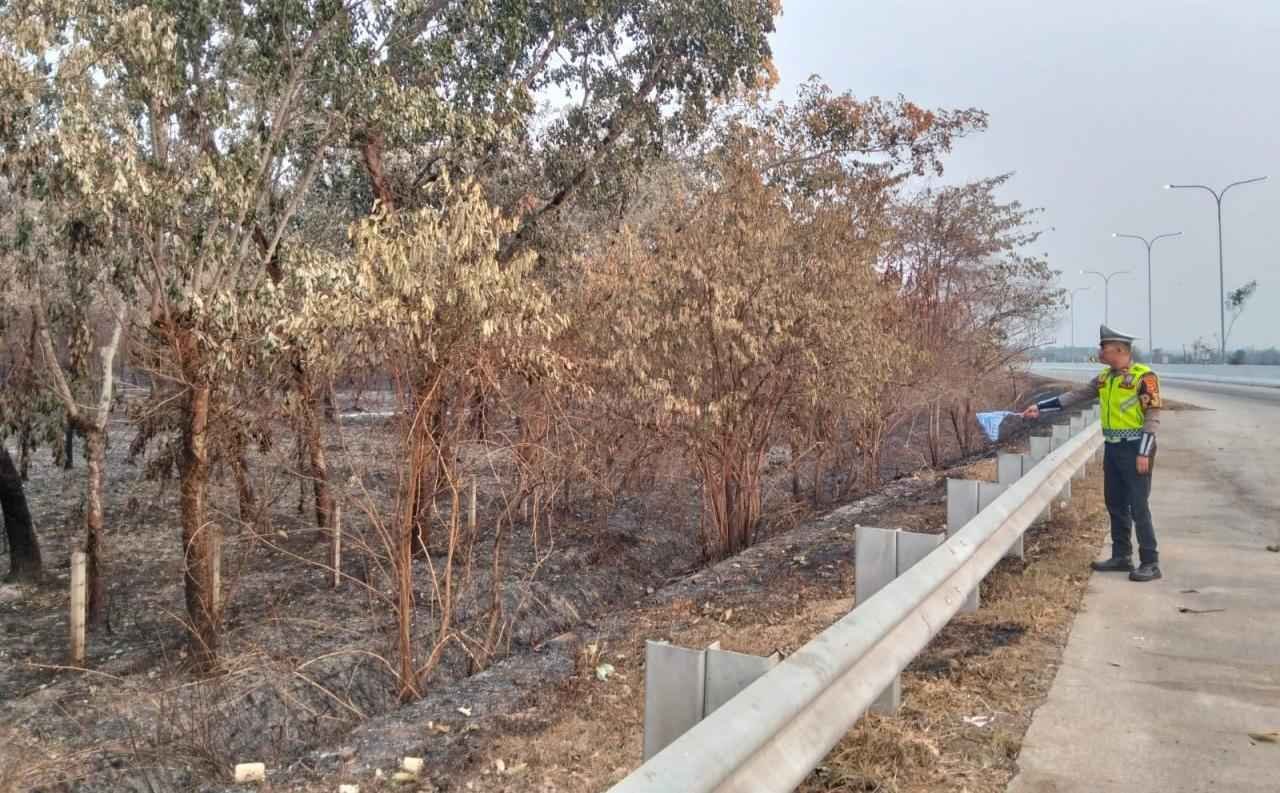 Kebakaran Lahan Dekat Gerbang Tol Menggala Padam, Polisi Pastikan Lalu Lintas Kembali Lancar