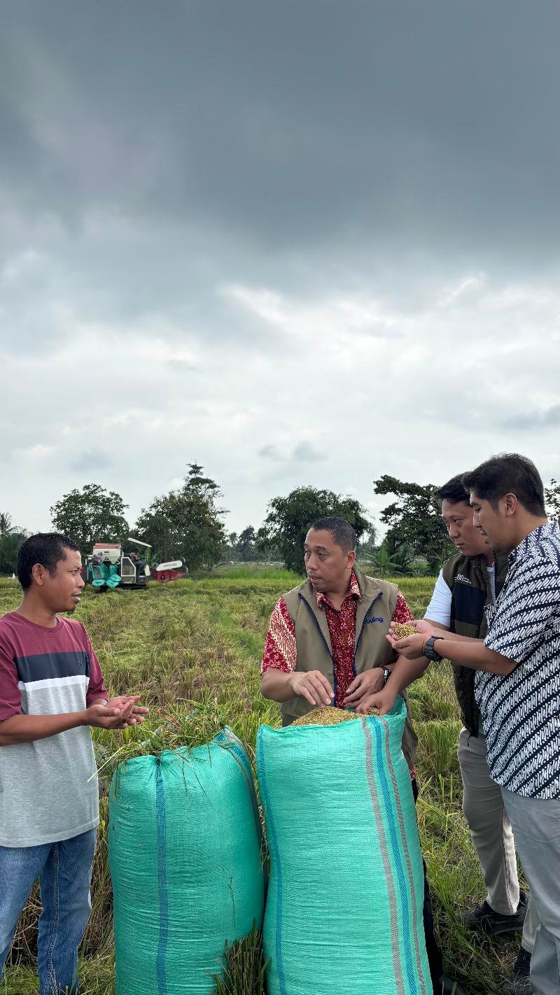 BULOG Lampung Serap 400 Ribu Ton Gabah, Capai Lebih dari 80 Persen Target Pengadaan