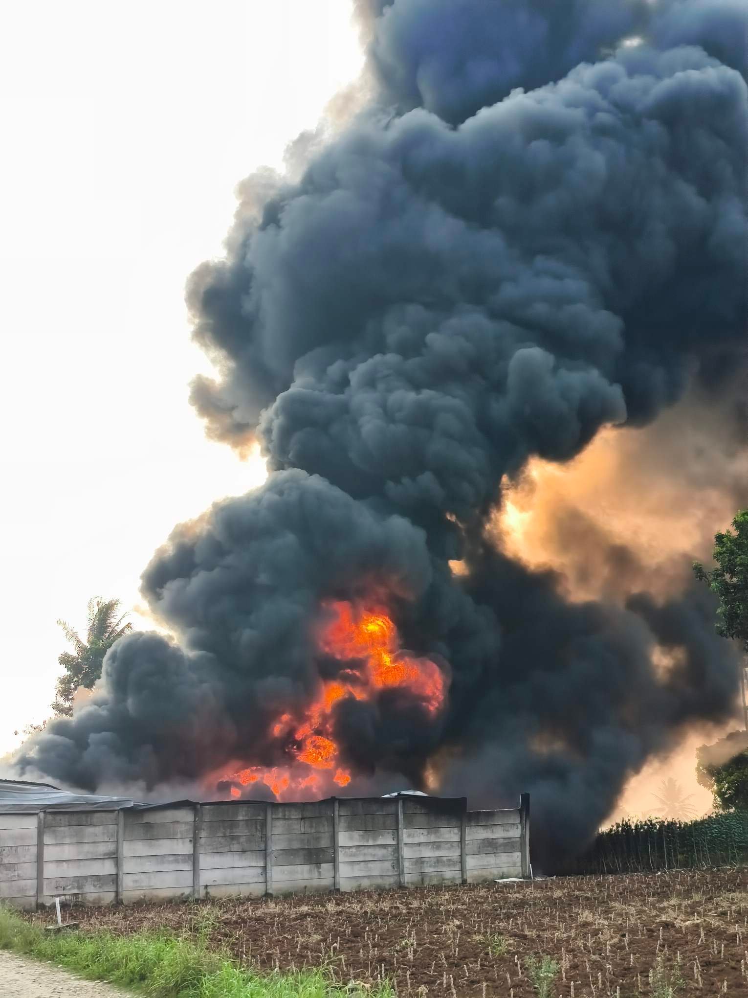Gudang Solar Terbakar di Akses Masuk Perumahan Srimulyo Permai Pesawaran