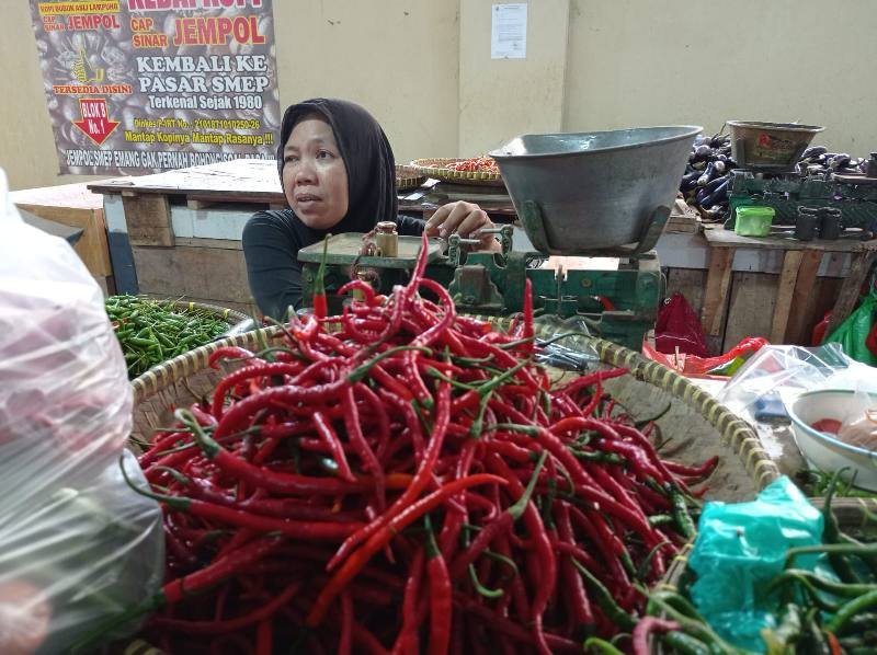 Harga Bawang Putih Naik, Cabai dan Bawang Merah Turun di Pasar Smep Bandar Lampung