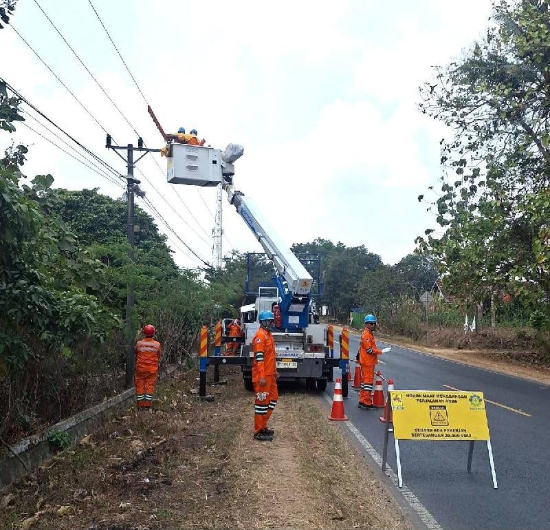 Tanpa Padam, PLN Perkuat 70 Titik Jaringan Listrik di Lampung Timur