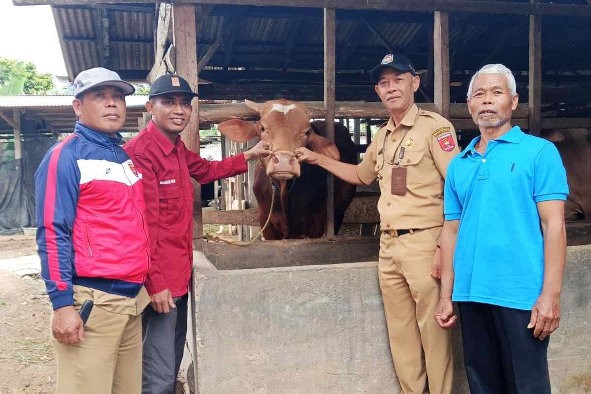 Camat Gedungsurian Pastikan Hewan Kurban Warga Layak Jelang Iduladha