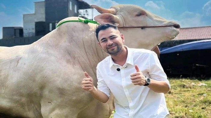 Raffi Ahmad Pilih Kerbau Pakistan untuk Kurban, Teringat Sosok Sang Kakek
