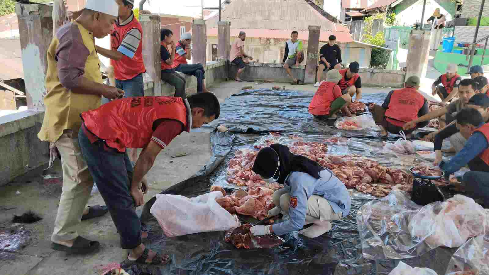 Ribuan Hewan Kurban di Lampung Barat Dipotong, Disbunnak Temukan Kasus Cacing Hati