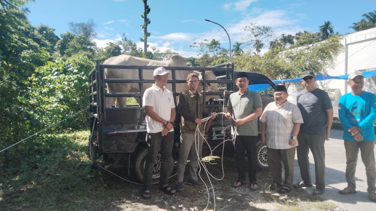 Iduladha 1447 H, Pemkab Pesisir Barat Tebar Kepedulian Lewat Pembagian Daging Kurban