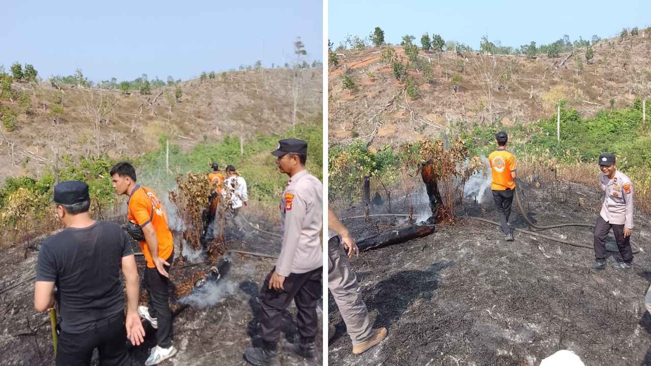 BPBD Pesbar Lanjutkan Pemadaman Karhutla di Atar Lebuay, Tiga Hektare Kebun Warga Terbakar