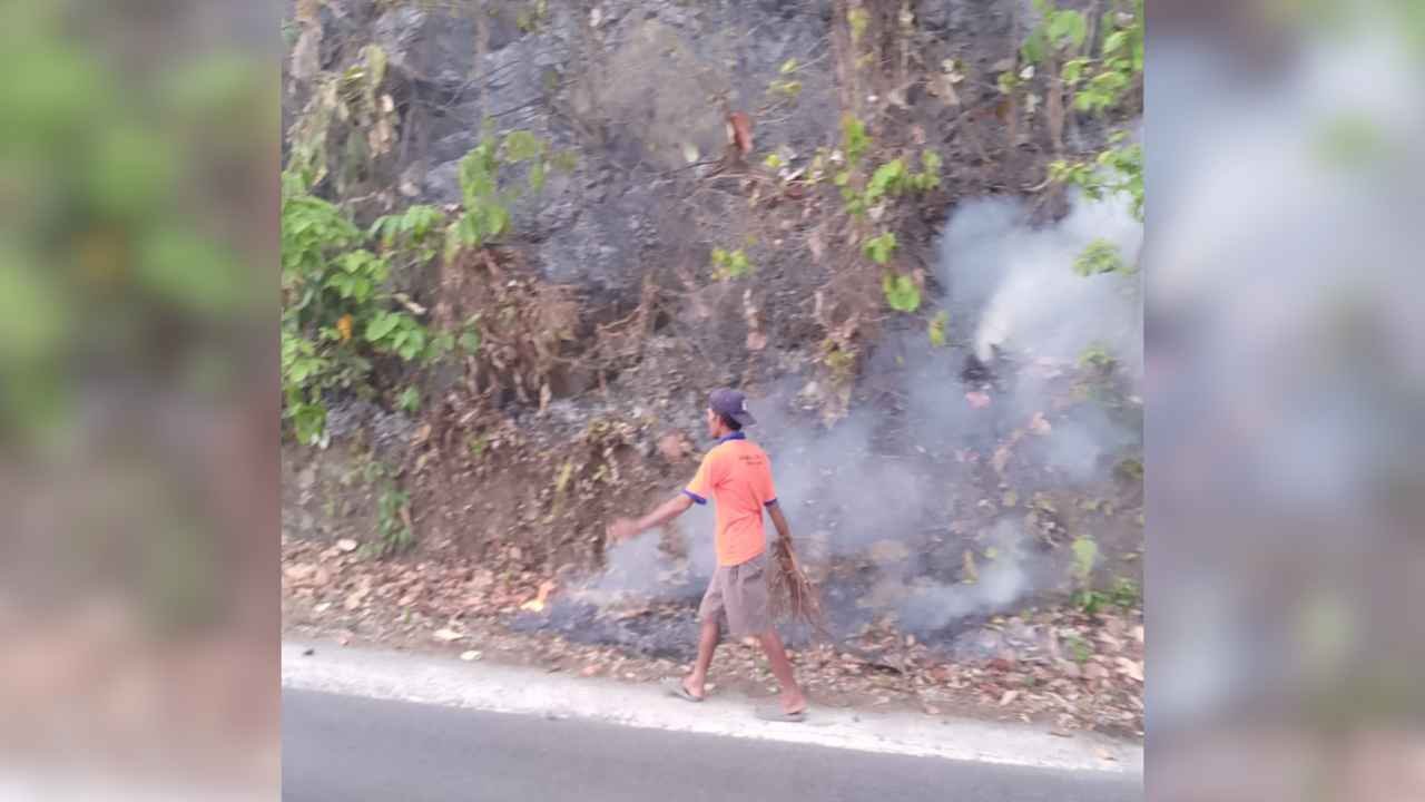 Karhutla Kembali Terjadi di Pesisir Barat, Api Bakar Tebing Batu Tembakak Setinggi 80 Meter