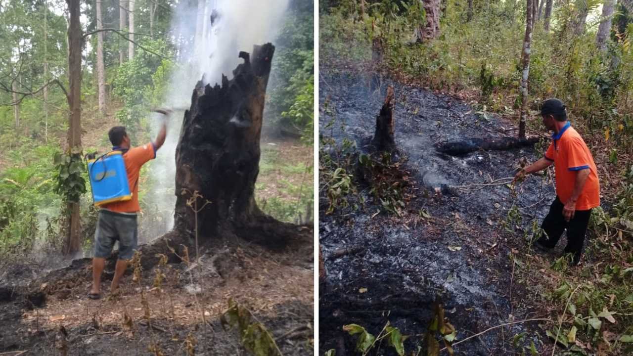 Karhutla Masih Mengancam Pesisir Barat, Akses Lokasi Jadi Kendala Pemadaman