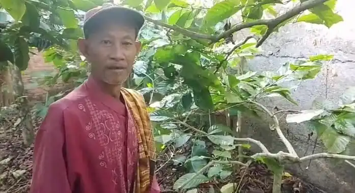 Warga Keluhkan Limbah SPPG Sekincau 1 yang Diduga Cemari Kebun Kopi