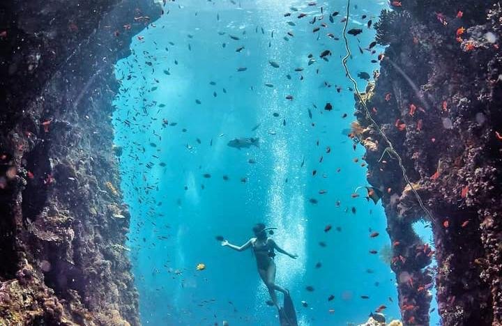Menyelam di Tulamben, Menikmati Keindahan Bawah Laut Terbaik di Bali