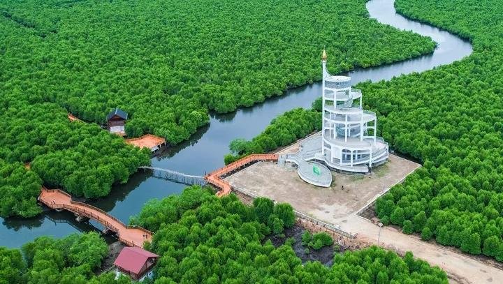 7 Alasan Wisata Hutan Mangrove Wajib Masuk Bucket List Liburan Anda