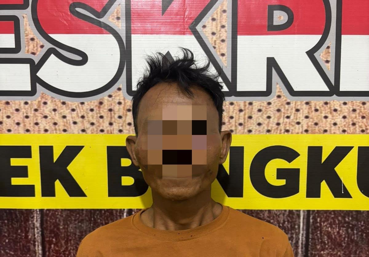 Curi 150 Kg Padi, Buruh Tani di Ngambur Ditangkap Saat Hendak Kabur