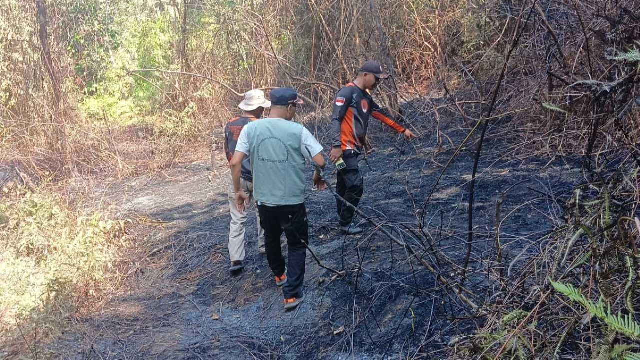 Dua Titik Kebakaran Lahan Terjadi di Rawas, BPBD Pesisir Barat Minta Warga Waspada