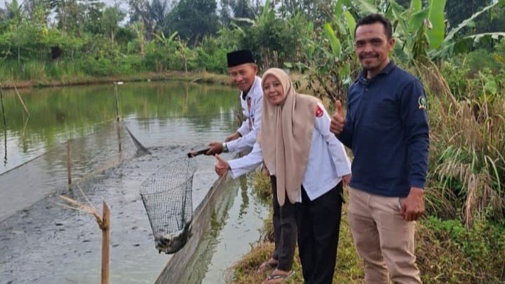 Camat Kebun Tebu Panen Ikan Nila BUMDes Tribudi Syukur, Dorong Ekonomi Desa Makin Tumbuh
