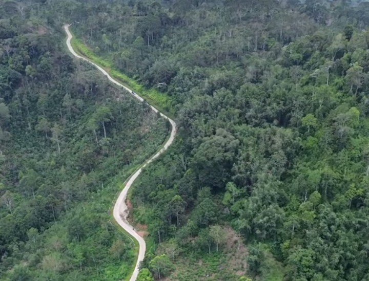 Pasca Lakalantas Maut, Peratin Trimulyo Desak Pemprov Lampung Benahi Turunan Cuaca