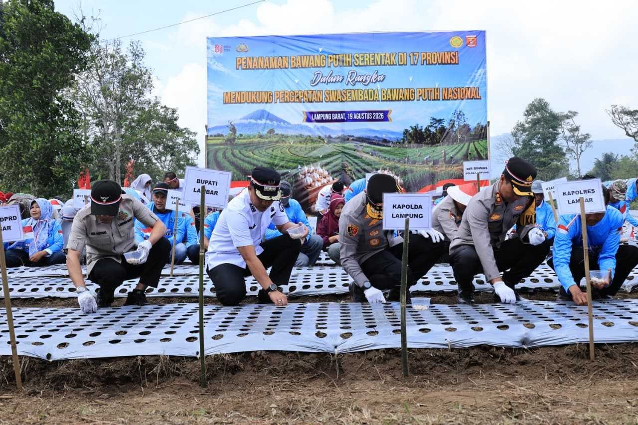 Dari Lampung Barat, Kapolda dan Bupati Tanam Bawang Putih Dukung Swasembada Nasional