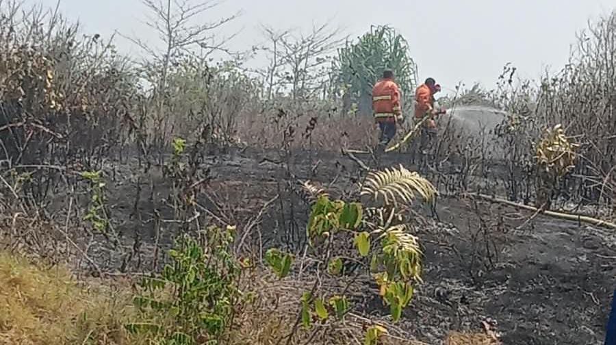 Bakar Sampah Picu Kebakaran Lahan di Mandiri Sejati