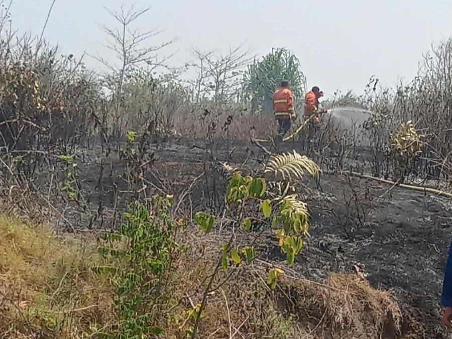 Karhutla di Pesbar Terjadi Lebih dari 10 Kali, Satpol PP dan Damkar Dorong Penanganan Lintas Instansi
