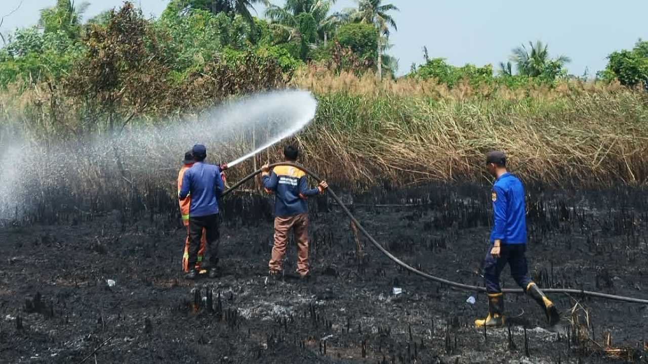 12 Kali Karhutla Terjadi di Pesbar, 2.900 Meter Persegi Lahan Terbakar