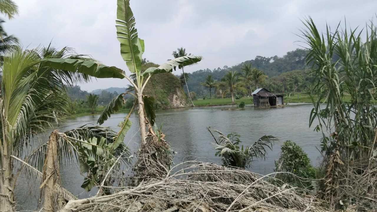 Tebing Longsor Sumbat Way Timpon, 4 Hektare Sawah Kegeringan Terendam