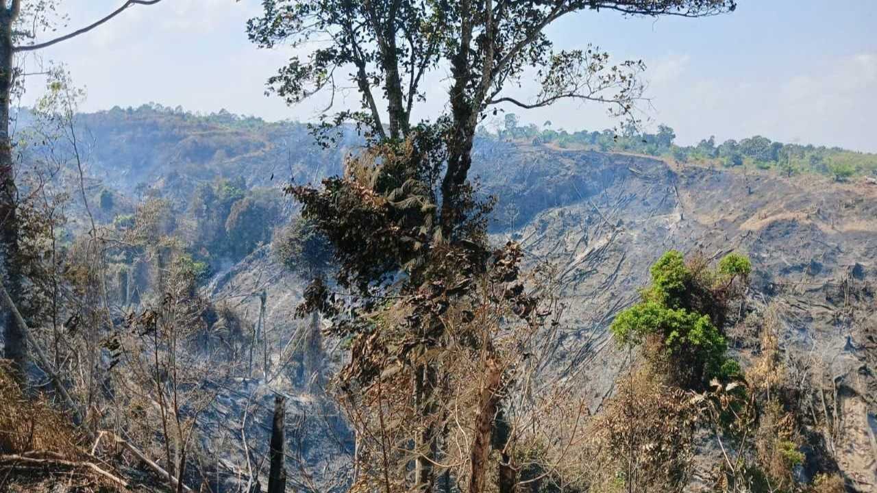 Lahan 5 Hektare di Mulang Maya Pesbar Terbakar, Api Padam Setelah 21 Jam