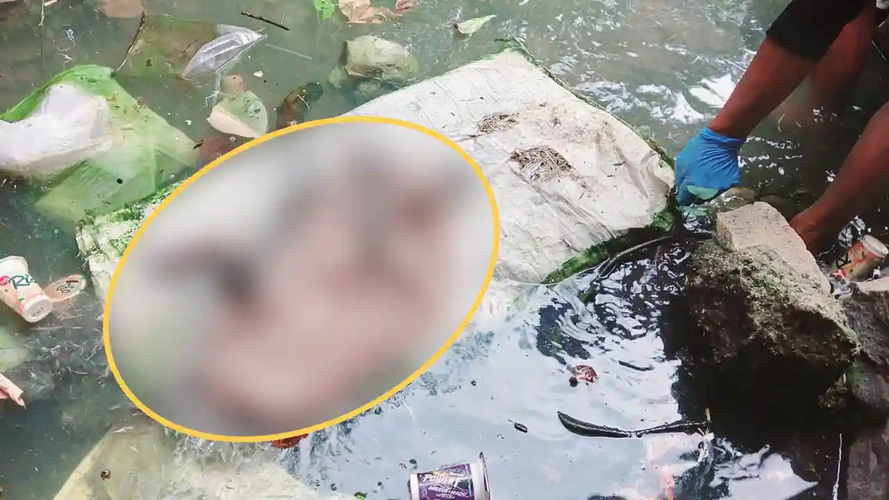 Geger! Jasad Bayi Laki-Laki Ditemukan Mengapung di Kali Sepuntung Lampung Utara