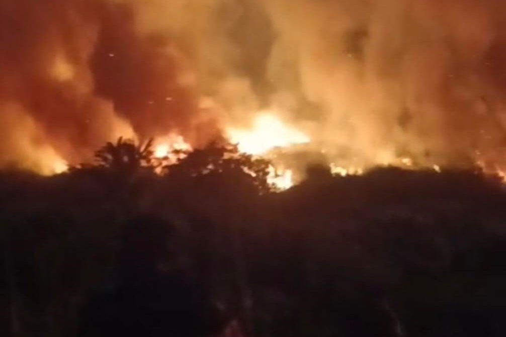 Kebakaran Lahan di Way Salang, Warga Berjibaku Padamkan Api dengan Alat Seadanya