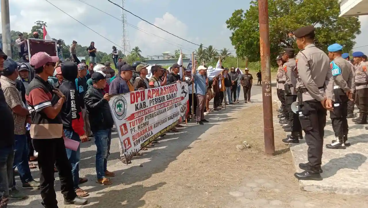 Ratusan Petani Sawit Desak Penutupan PT KCMU dalam Aksi di DPRD dan Pemkab Pesbar