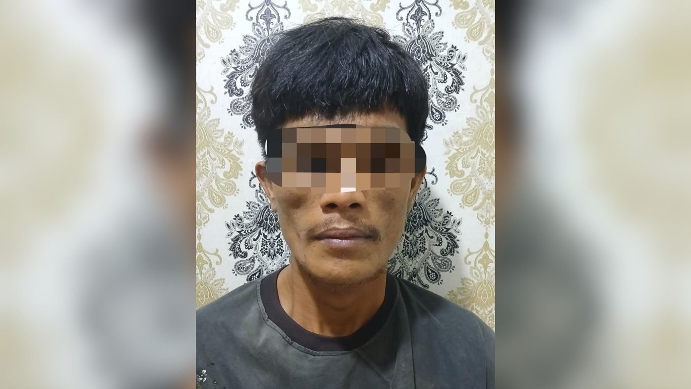 Residivis Pencuri Sawit Ditangkap Polisi Saat Hendak Menjual 22 Tandan Hasil Curian